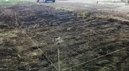 Дружба