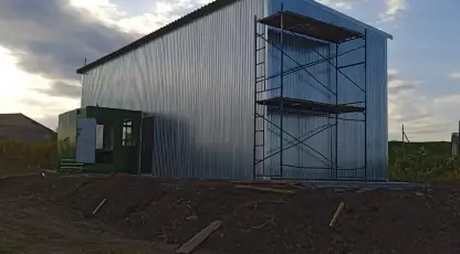 Колос