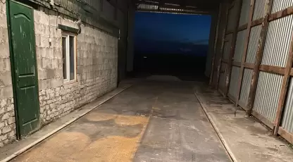 Нектар