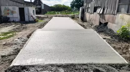 Заря