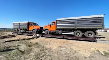 Возьнюк