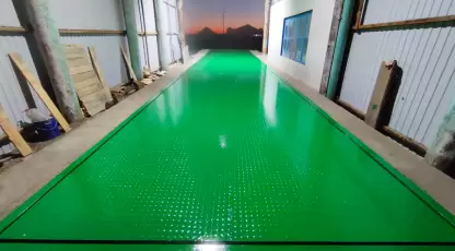Колос Краснодар