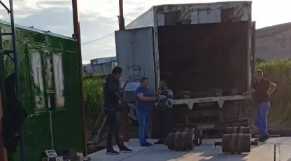 Колос Волгоград