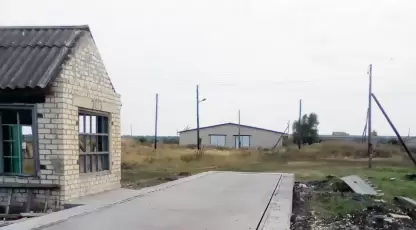 Плотников
