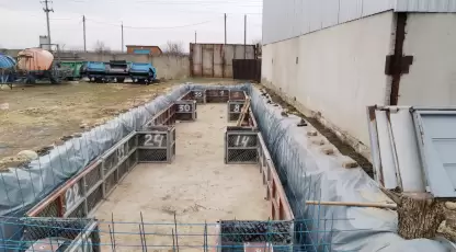 Белоусов